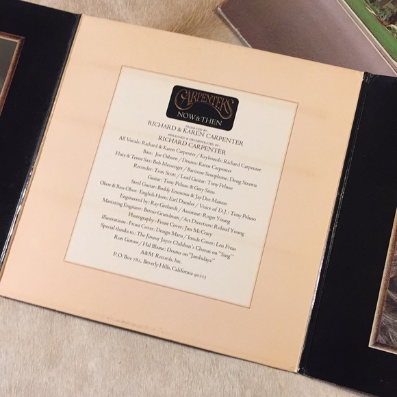 The Carpenters - “Now & Then” Vinyl LP - Picture 3 of 6